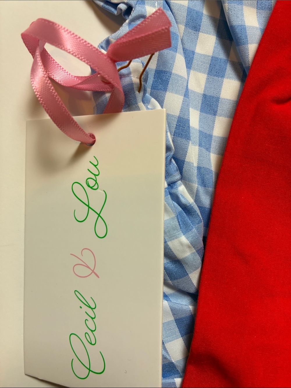 Blue Gingham Dress with Red Apple Accent and Red Bloomers - Picture 8 of 8